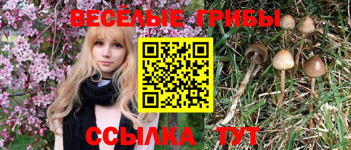 Галлюциногенные грибы Magic Shrooms  Галлюциногенные грибы мухоморы  цена наркотик  Вход с VPN  Полысаево 