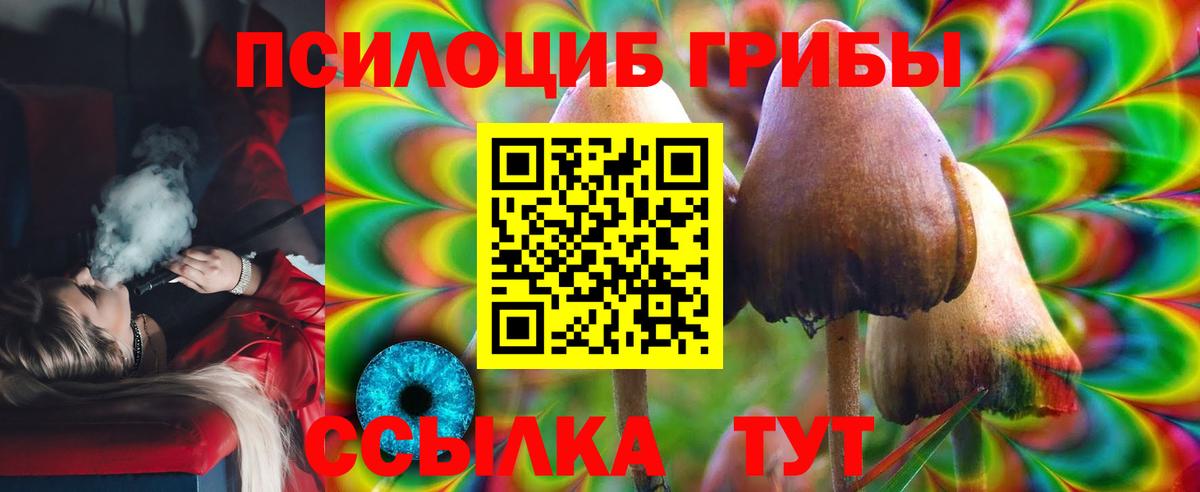 Псилоцибиновые грибы Psilocybe Полысаево